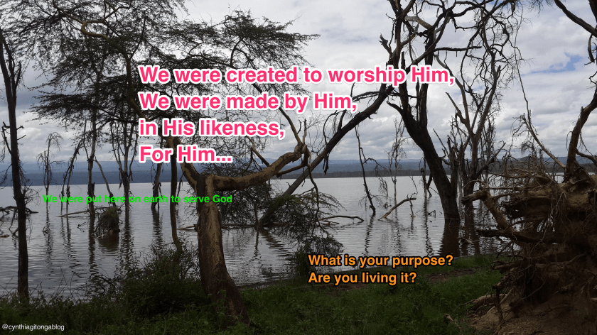 Are you living your purpose.png